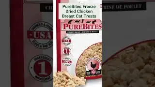 The best treats to give your cat 