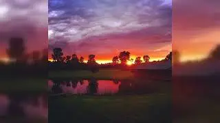 [FREE] Country 