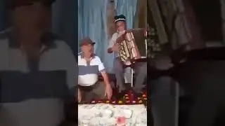 Два друга ала-бука аккурган.