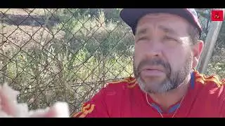 Donde los árboles cantan