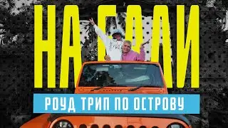 РАЗБИЛА ТАЧКУ! Путешествие на Бали. Водопады и дельфины