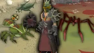 The Hidden Power of Inquisitor Mace