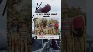 Мемас из ТикТока. 