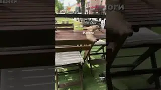 Как заработать денег? Открыть бизнес!