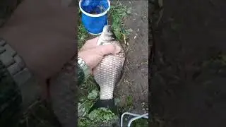 Второй выезд в Тишково