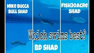 Underwater shad swimbait test | which one swims best?
