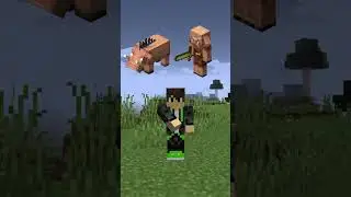 tier biome nether