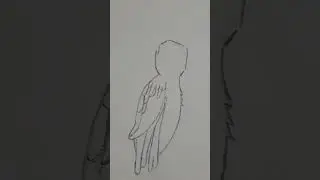 تعلم رسم العصفور بخطوات بسيطه  🐦🐦