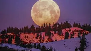 🎧 30 Minute Deep Sleep Music: Calming Music, Relaxing Music, Soothing Music, Calming Music
