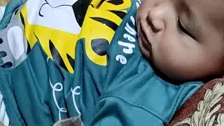 Rayyan main sama si Lili, anak kucing seru banget