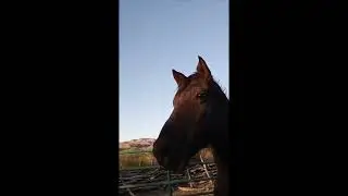 Check's Journey Part 1 (A learning process for both of us.)