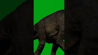 dinosaur green screen video | #shorts