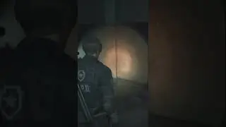 Неожиданная встреча