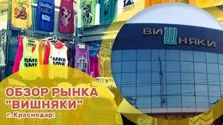 Обзор рынка 