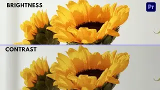 How To  BRIGHTEN And LIGHTEN Video In Premiere Pro | Adobe Premiere Pro Tutorial
