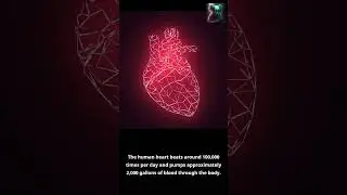 The Power of the Human Heart: Understanding the Body's Life-Sustaining Pump