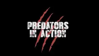 PREDATOR PETS: TIGERS LIONS BEARS