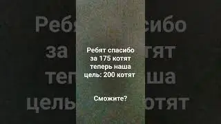 #пжрек