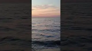 🍂🌊🦭#закат #закатсолнца #волна #шумприбоя #шумморя #звукиморя #онлайн #осень #сентябрь #моресегодня