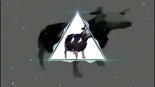 mezzonin elzy - Feel Cow Inc
