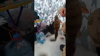 13 февраля 2023 г.