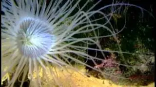 Underwaterworld. Океанариум на Лангкави