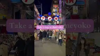 One day Tokyo itinerary spring 2023
