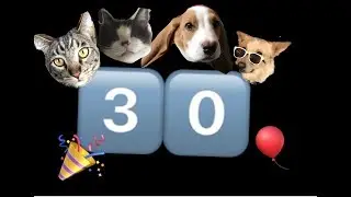 Thank you!