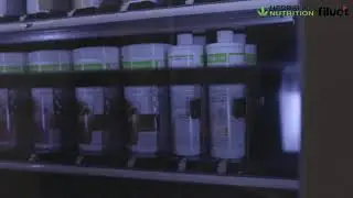 Herbalife Nutrition - Automated Sales Center (ASC) by Filuet