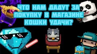 Что дадут в магазине кошки удачи после покупки?/Соул кнайт/Магазин кошки удачи)