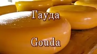 Готовим твердый сыр (классический рецепт Гауда)