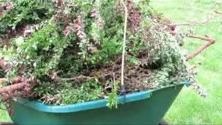 DIY HIP Chicks Daily DIY TIP - Gardener Tip