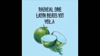 Latin Beats Kit Volume 4 [latin sample pack] [latin drum kit] [reggaeton drum kit] [afro drums]