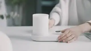 D1 Aroma Diffuser and Humidifier