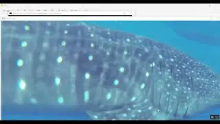 Single Image Dehazing Using Wavelet Based Haze Lines and Denoising