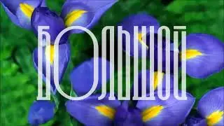 8 марта
