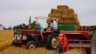 Strohschwaden und Pressen mit Zetor Proxima 7441