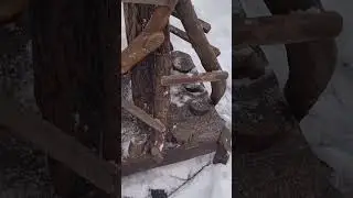 Природный ресторан-кормушка для белок и птиц 😍 Большой, просторный, устойчивый и полностью из дерева
