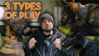 How to PLAY with different dogs