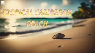 2 Hours of Tropical Caribbean Beach Music: Relaxing Sounds of the Ocean