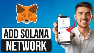 How to Add Solana Network to MetaMask Wallet (2025) - Full Guide