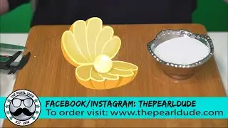 Pearl Discovery! (Reveals 17299 - 17313)