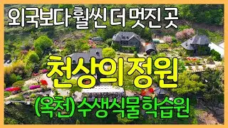 Heavenly Garden, Aquatic Plant Learning Center / Okcheon, Chungcheongbuk-do, Korea