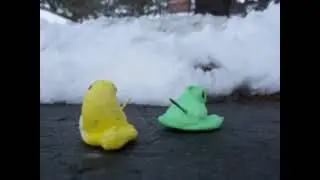 Peep vs Peep