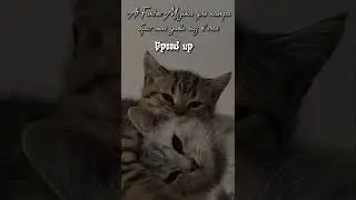 Al Fakher -Музыка для кайфа брат мой дави газ в пол🌿🍀 speed up/li.real🦋