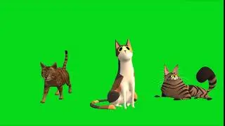 Copyright Free Green Screen, Chroma Key 3D animation of 3 cats hovering.