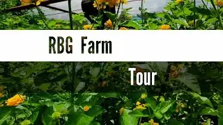 RBG Farm