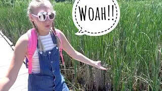 Flora's EPIC Adventure Fairytale!