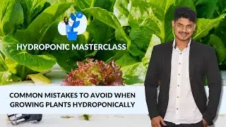 Common Mistakes When Growing Plants Hydroponically. Hydroponic Masterclass I +91-9870-424-425