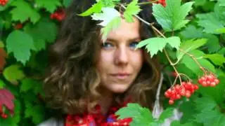 Горькая калина . Исполняет Виктор Королёв .